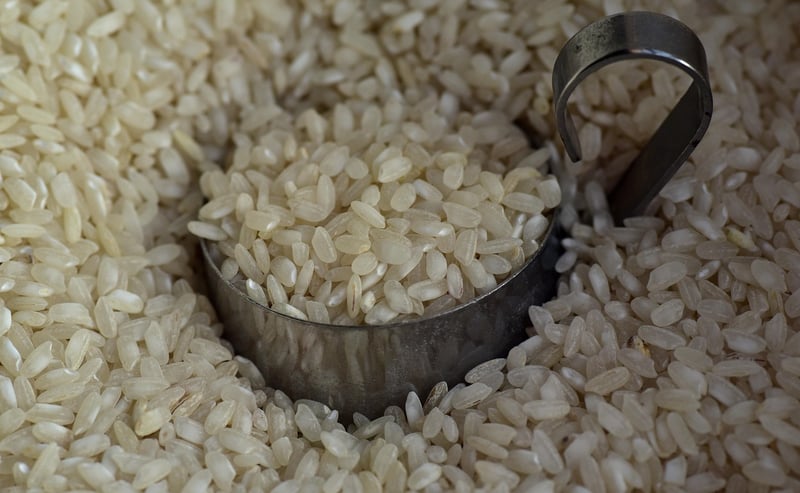 Quinoa